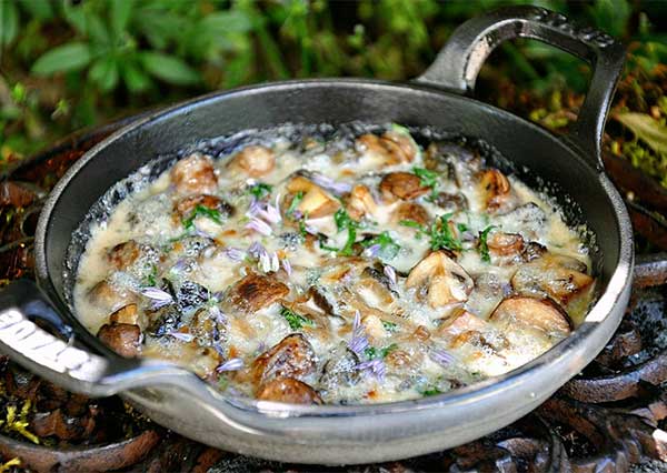 Escargots de Bourgogne, crème, champignons, estragon frais